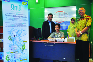 MLM Syariah Ahad Net