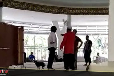 Wanita pembawa anjing